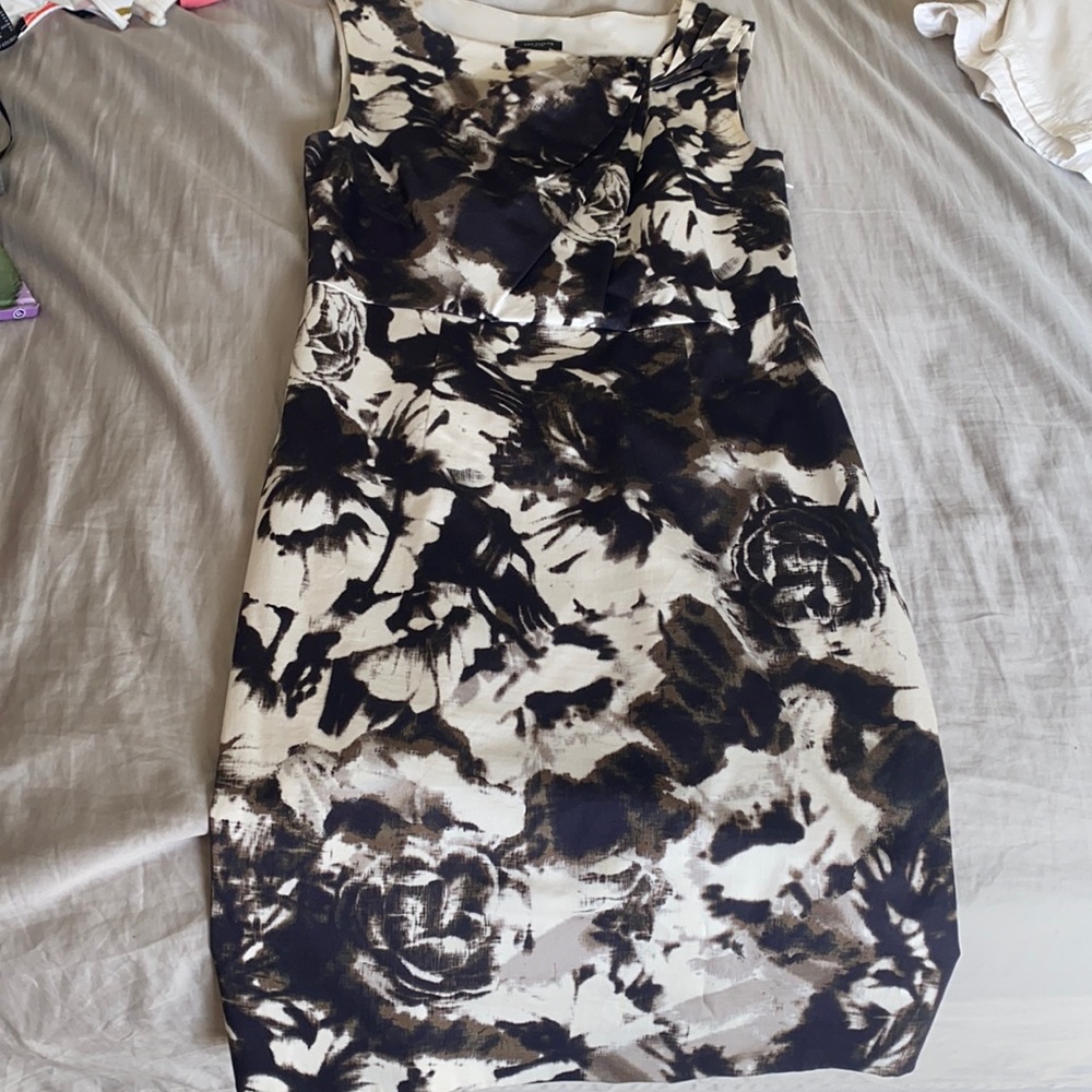 Ann Taylor dress